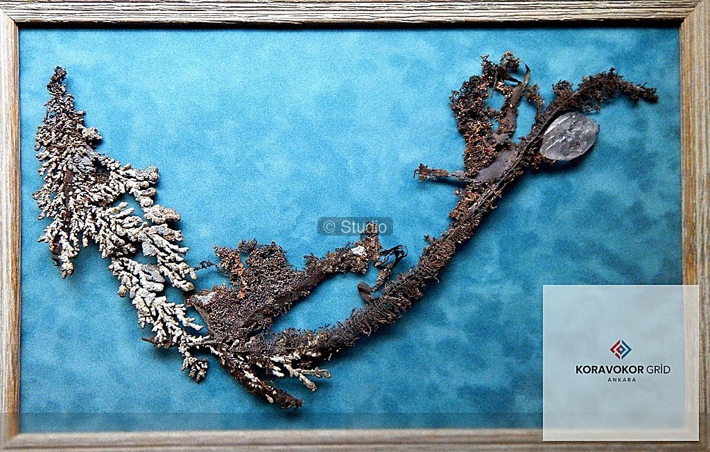 Acil Durum Temizliği ve Hızlı Müdahale Çözümleri